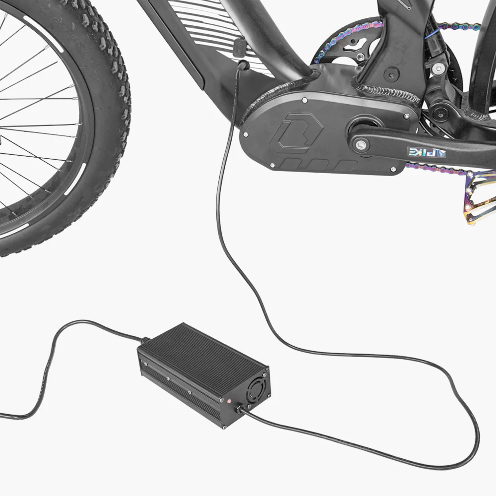 52V 5A fast charger for Ranger/Trax/Rover/Ovia - Image 3
